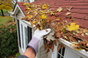 What Makes Autumn a Great Time to Install Louvers on Your Property?